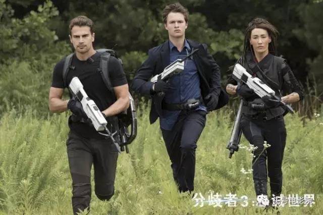 鏋佺洍杞︾,鏋佺洍閲岀殑杞︾