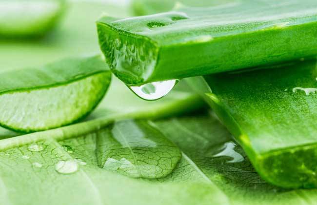 面膜纯手工,面膜自己做的方法如下