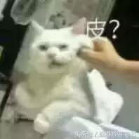 还去香港干嘛？日本都比香港折扣大