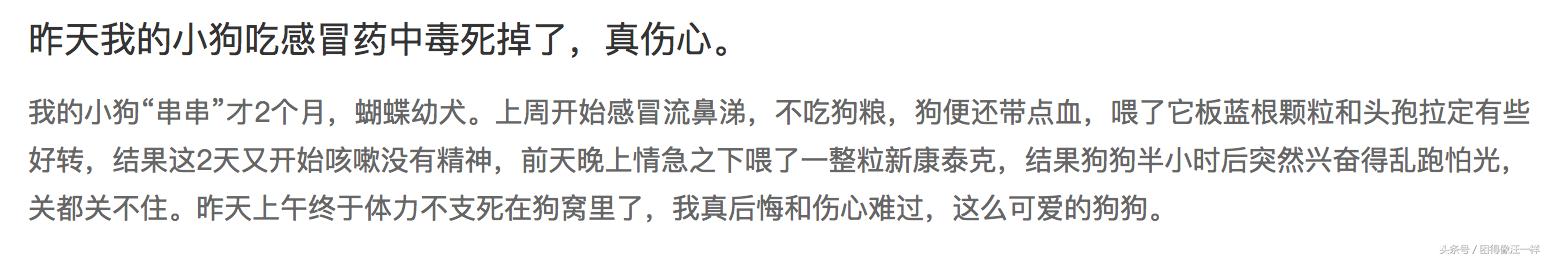 狗狗吃人的药有副作用吗,狗狗吃人用药需减药量吗