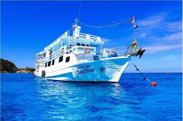 爱上邮轮的十个理由,爱上潜水的理由