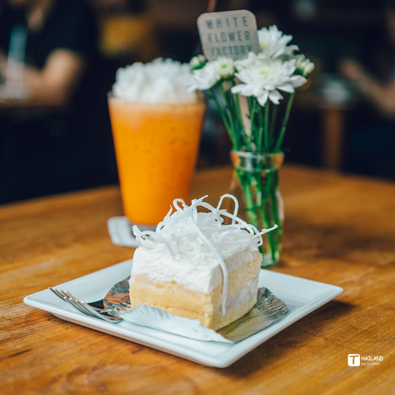 回忆那年在泰国踏浪看海,带你一起去泰国看海