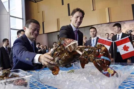 天猫加拿大馆开馆一周年，网红总理都给马爸爸推荐了什么