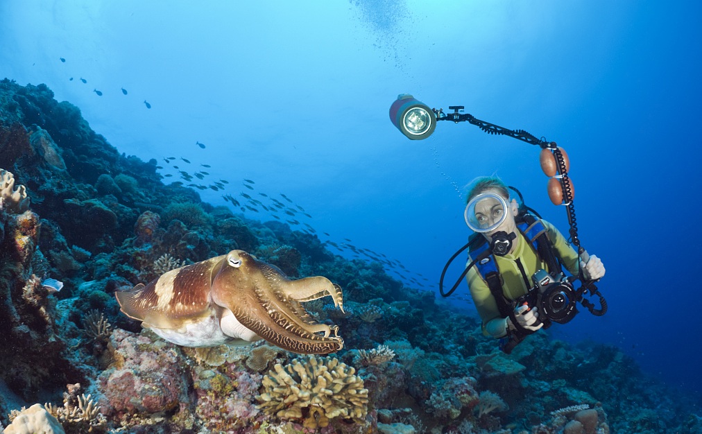 帕劳旅游最美风景攻略,帕劳旅游攻略自由行