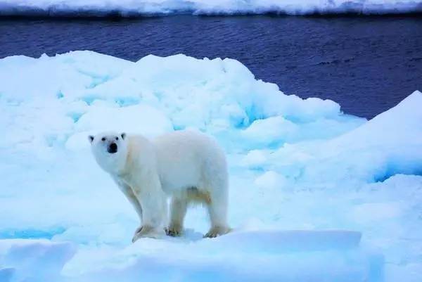 碳纤维自行车值得买吗,3000能买到碳纤维的自行车吗