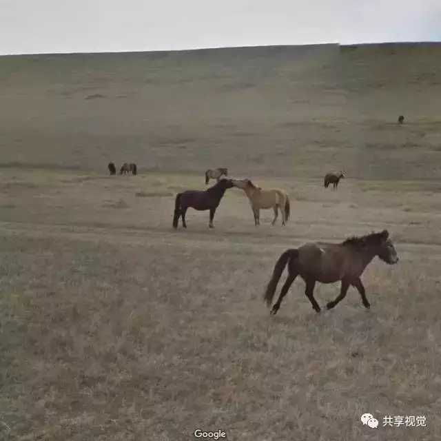 google街景照片怎么拍,谷歌地图摄影作品