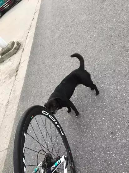 第一次骑山地自行车的感受,第一次骑行的经历