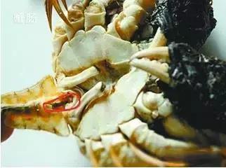 羊口开海！倒计时一天！第一网吃起来！看完哈喇子流一地