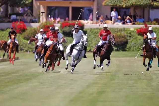 潮流重磅POLO衫,polo衫是永不退潮流的单品