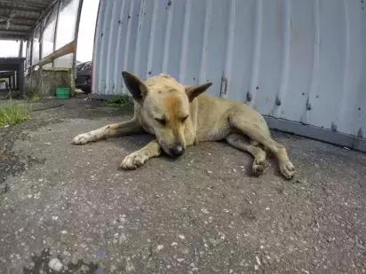 第一次骑山地自行车的感受,第一次骑行的经历