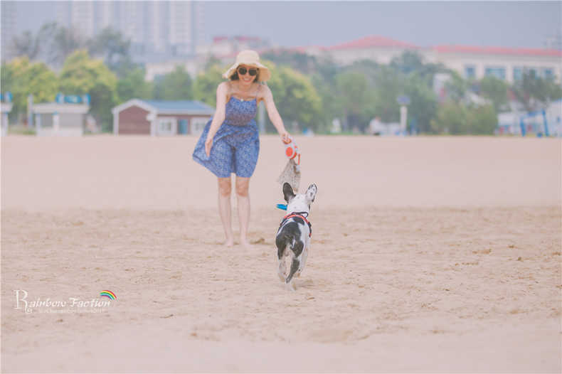 带着狗狗去旅行秦皇岛,带着狗狗旅居