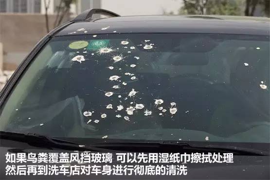 车上鸟粪怎么清理干净,车上鸟粪去除好方法