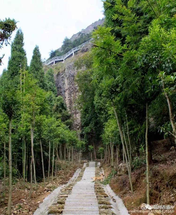 乐清白石凤凰山在哪,乐清白石山上好玩的地方