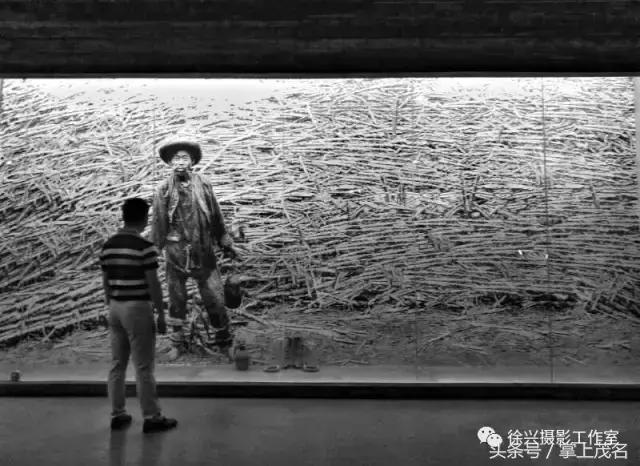 手机摄影田园生活图片,手机摄影主题