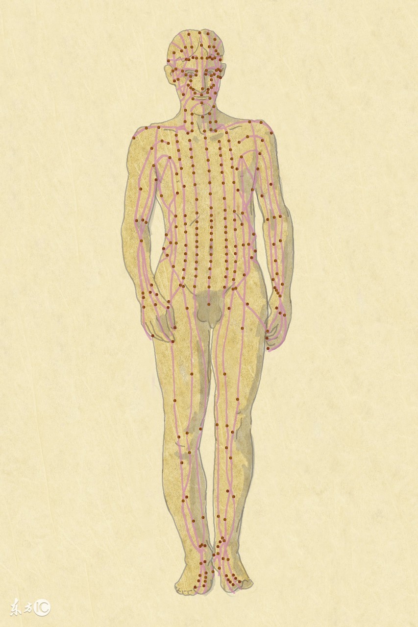 平衡针治疗腰疼的穴位,平衡针治疗失眠穴位图