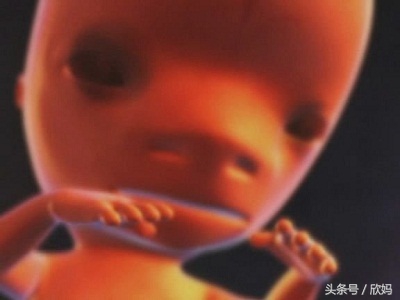 妈妈知道宝宝在肚子里,胎宝宝在肚子里的发育