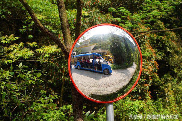 重庆最美黑山谷景区,重庆万盛黑山谷旅游如何