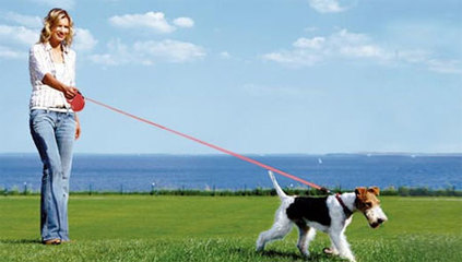 牵引带用了有哪些好处,你会正确握方向盘吗