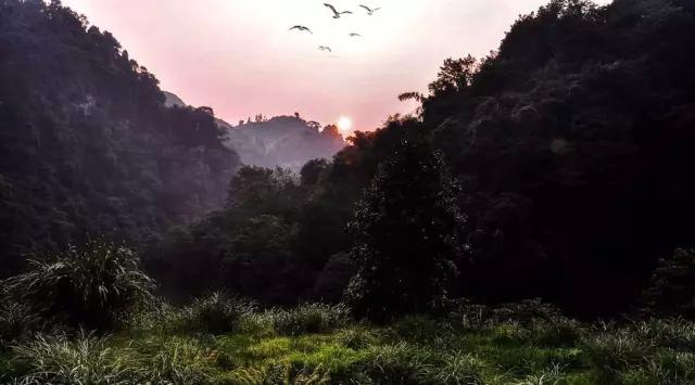 带你体验不一样的异国风情柬埔寨,去柬埔寨探寻神秘而又独特的美