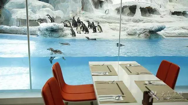 珠海长隆横琴酒店到海洋王国,珠海横琴长隆海洋王国门票价格