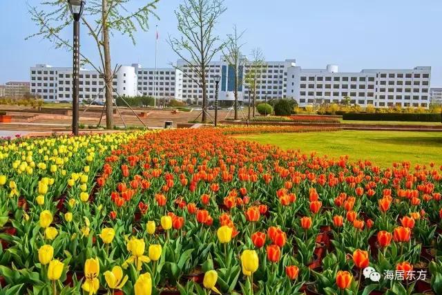 您好，您有一封来自荣成的邀请函，请注意查收！