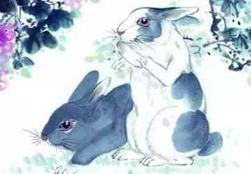 从心理学解读十二生肖婚配,最完整的12生肖婚配表超级准