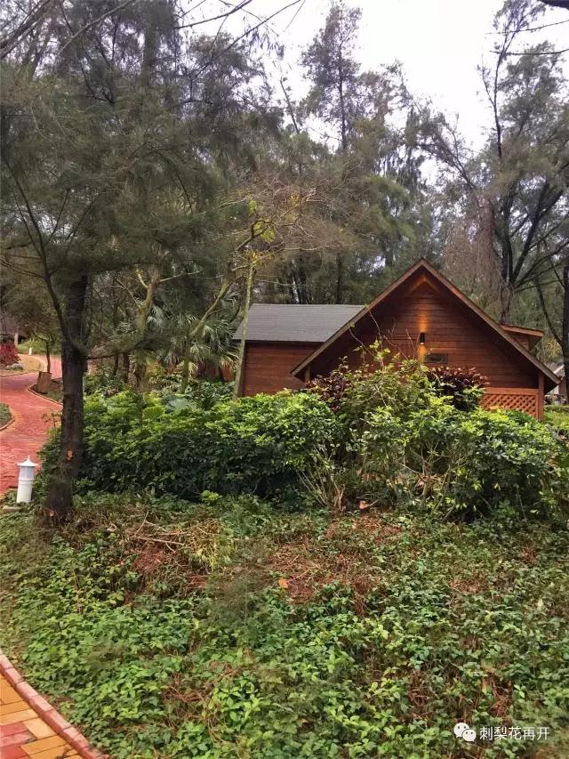 鍐嶈鍘﹂棬绂忓缓涔嬭,鍘﹂棬楣矝涔嬭