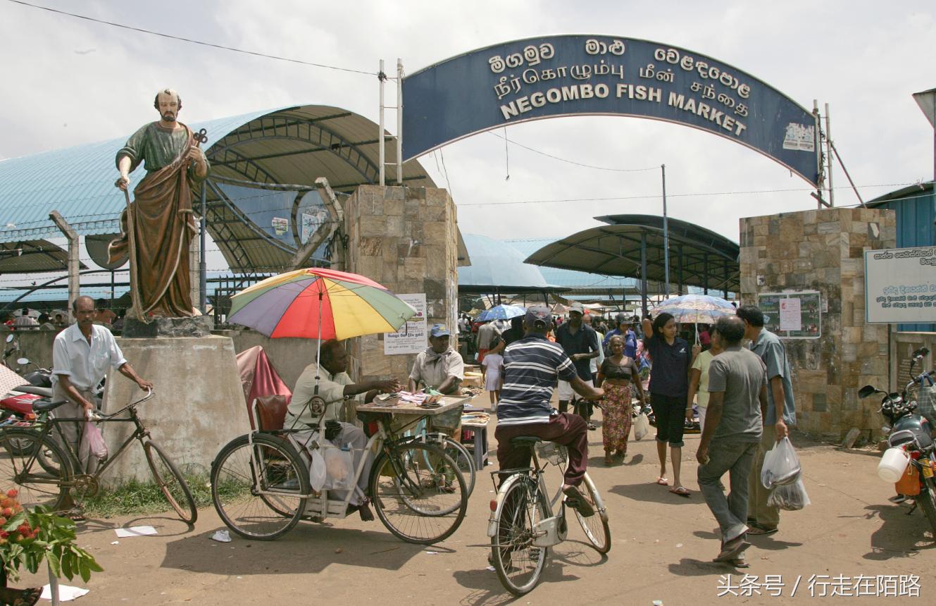 晚间捕鱼的渔民,晚上捕鱼白天卖寿司