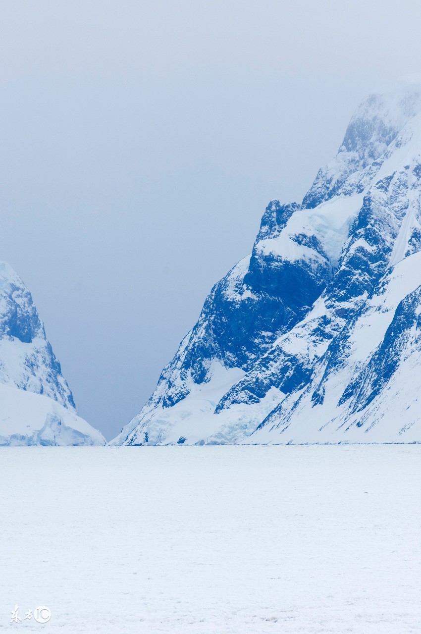 每日小科普有趣的冷知识分享,超有趣的冷知识你绝对不知道