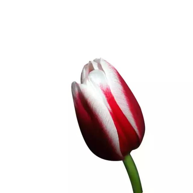 伤感文字早安心语,微信朋友圈早安语录正能量图片