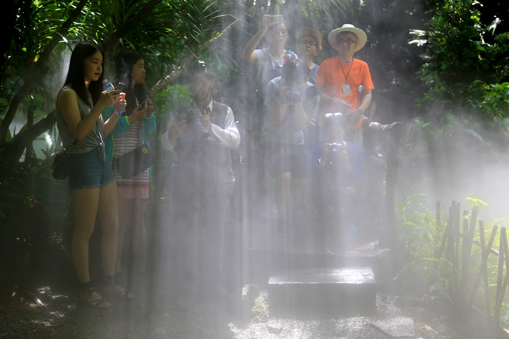 何必去南美，呀诺达热带雨林就有无数宝藏
