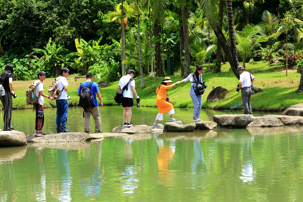 何必去南美，呀诺达热带雨林就有无数宝藏