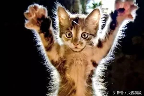 原来如此丨静电从何而来？如何送走？