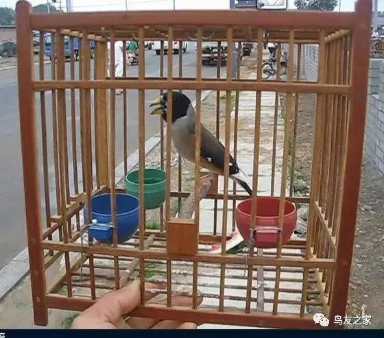 玩索而有得的索解释,玩索而有得的出处