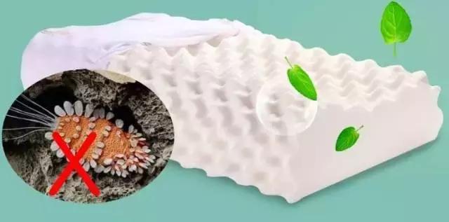 乳胶枕可以治疗颈椎病吗,乳胶枕那么软真的能缓解颈椎病吗