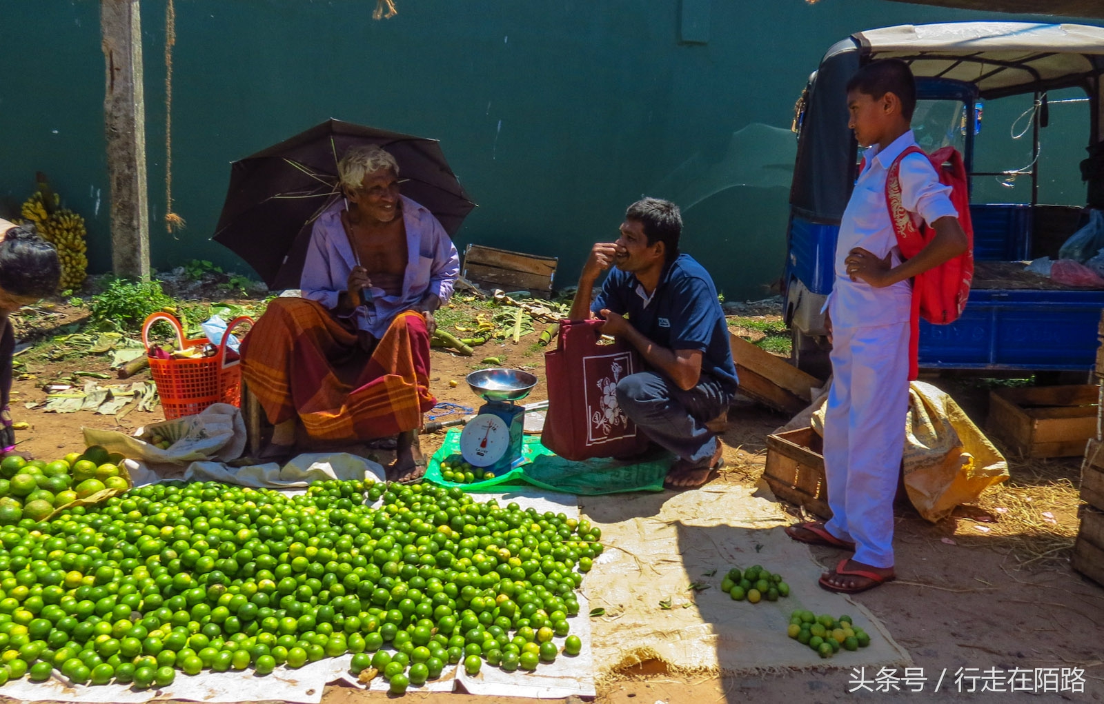 晚间捕鱼的渔民,晚上捕鱼白天卖寿司