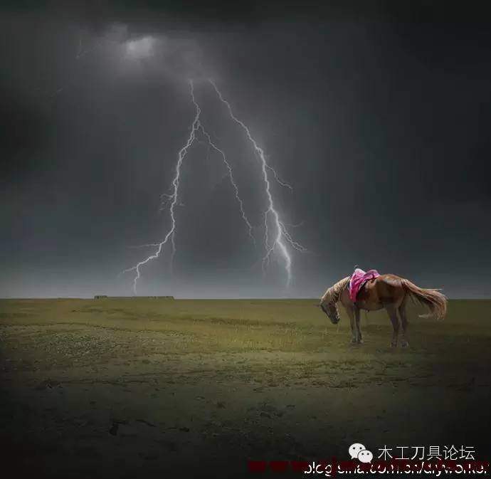 纯实木，究竟有多难？——解密实木家具，兼谈达芬奇事件