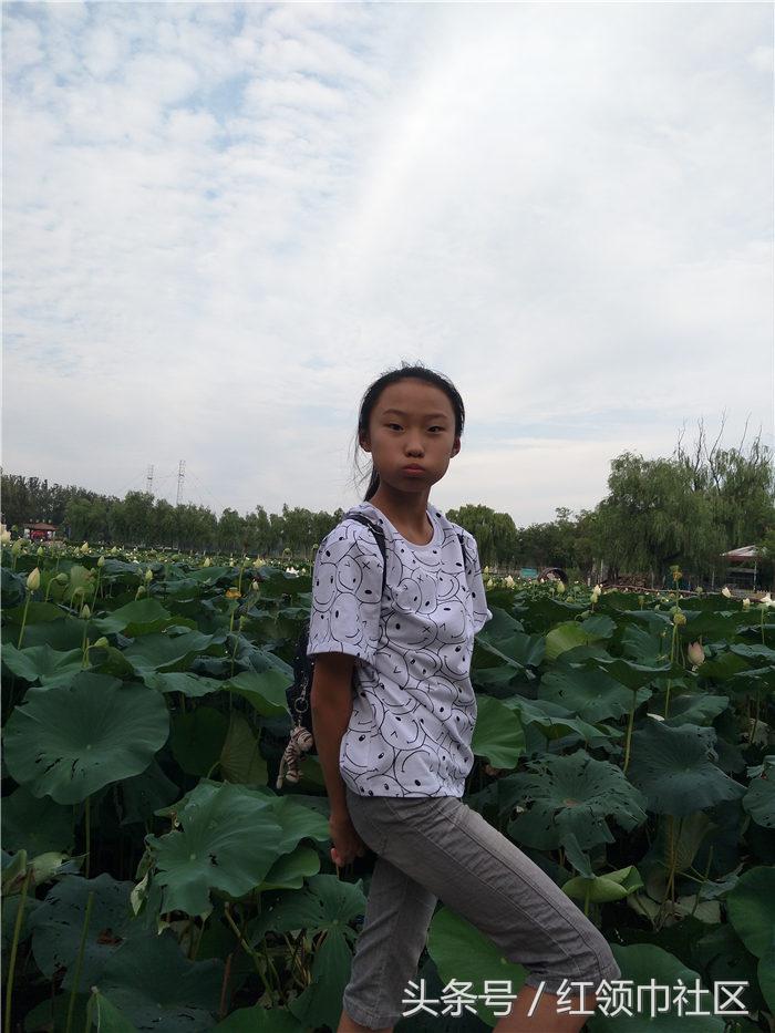 最美红领巾投票,红领巾十佳记者名单