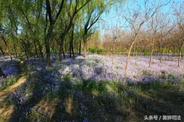 命苦它是北京最冤的一个区