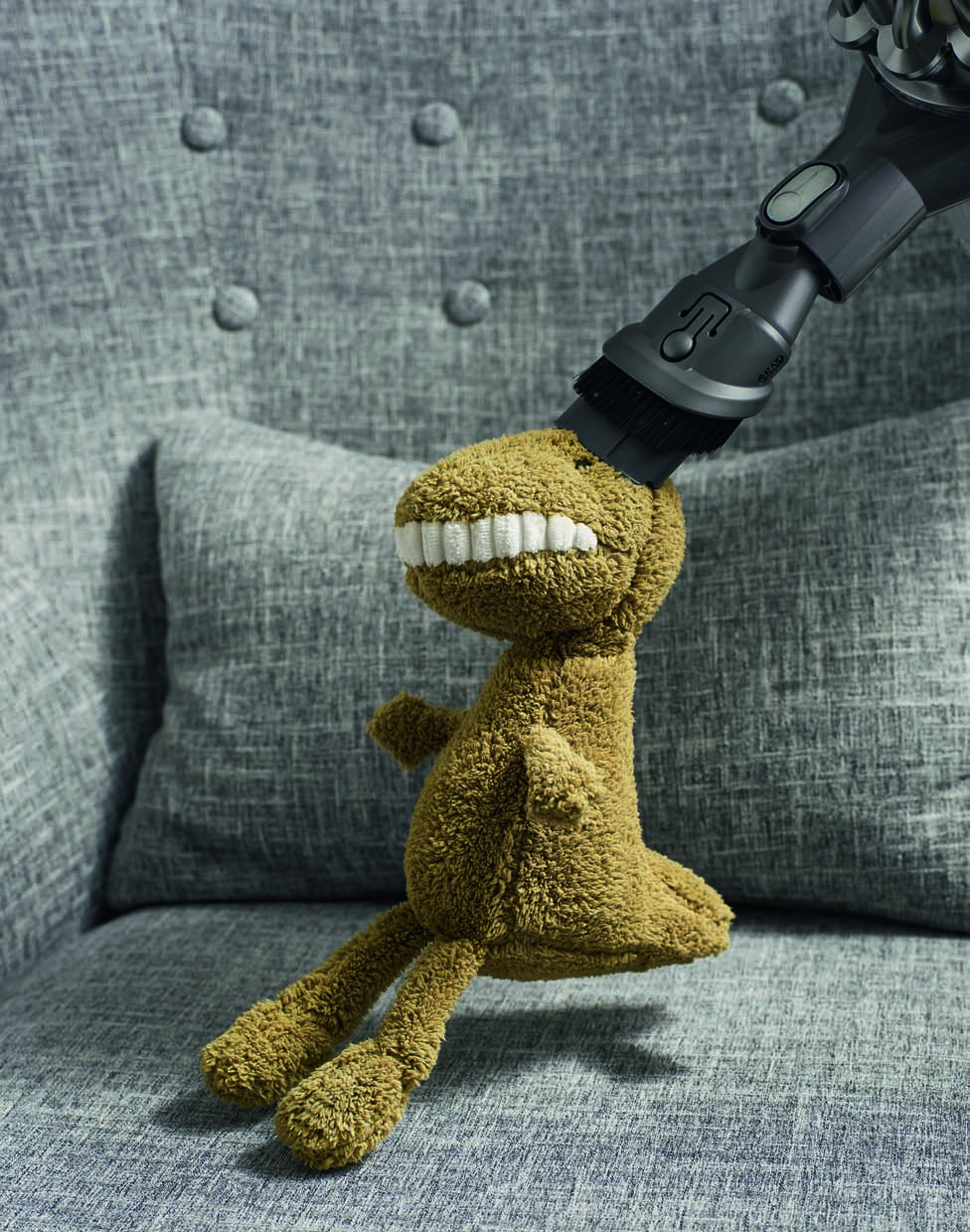 被你忽视的日常居家过敏原:螨虫