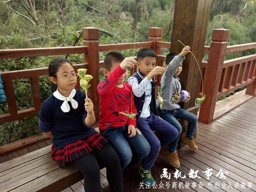 草编艺人收入,采访草编艺人问题大全