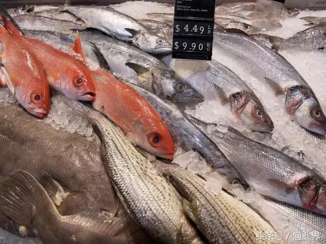 世界十大海鲜市场排名,世界最大的海鲜市场日本