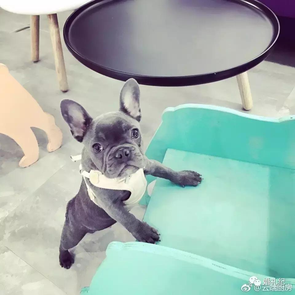 少女心爆棚的店铺名,少女心满满的网红店