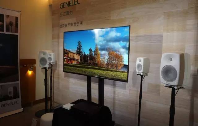 真力音箱g系列 (真力音箱深灰色)