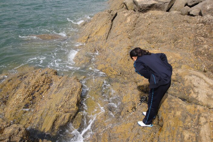 日照海捕海鲜有哪些,日照赶海后抓到的海鲜去哪儿吃