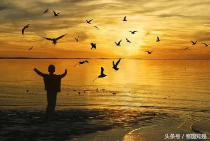 九型人格和disc性格测试的区别,九型人格分析3号偏8号型性格特点