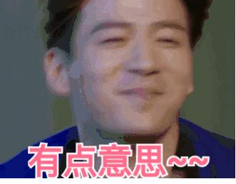 猫老师讲课全集,猫老师课堂