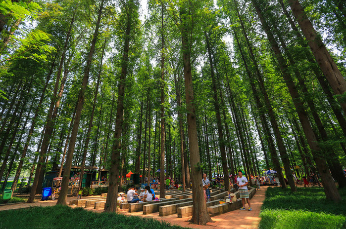 日照海捕海鲜有哪些,日照赶海后抓到的海鲜去哪儿吃