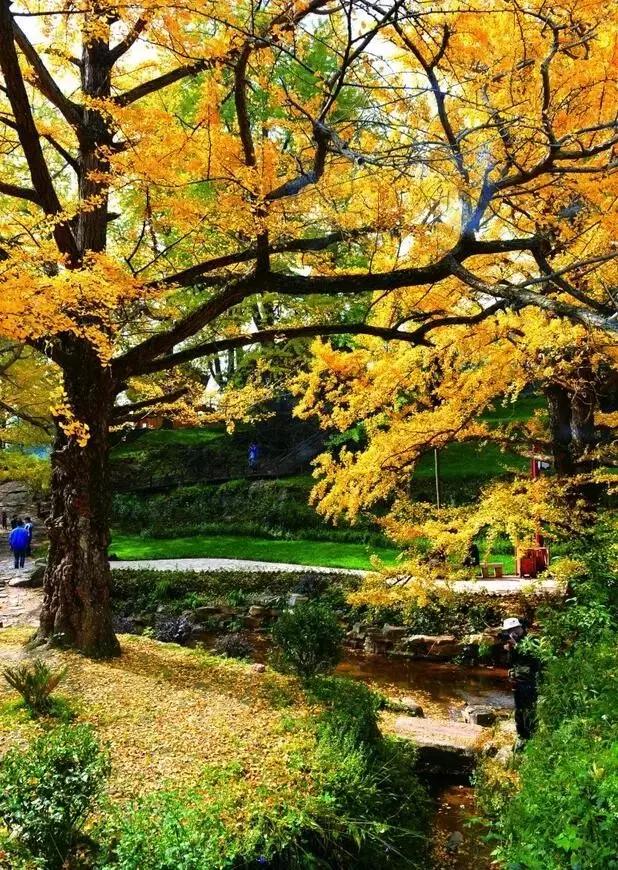 贵州方言笑死人的句子,贵州方言笑死人了