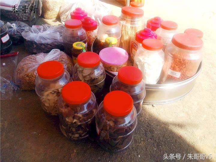 横县校椅镇马毕村茉莉庄园,广西横县茉莉庄园